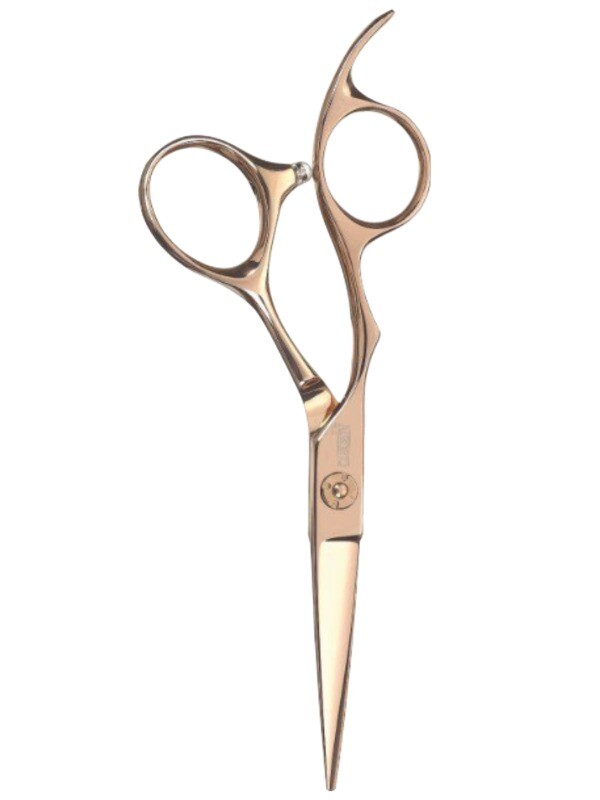 Cisoria Ergonomische Offset Schaar