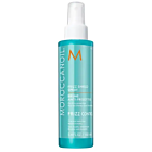 Frizz Shield Spray 160 ml