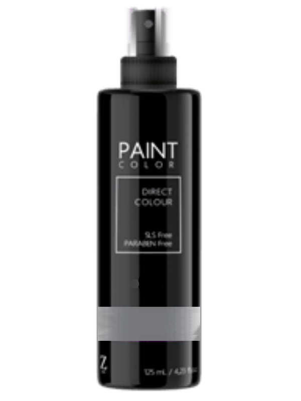 Paint Silver