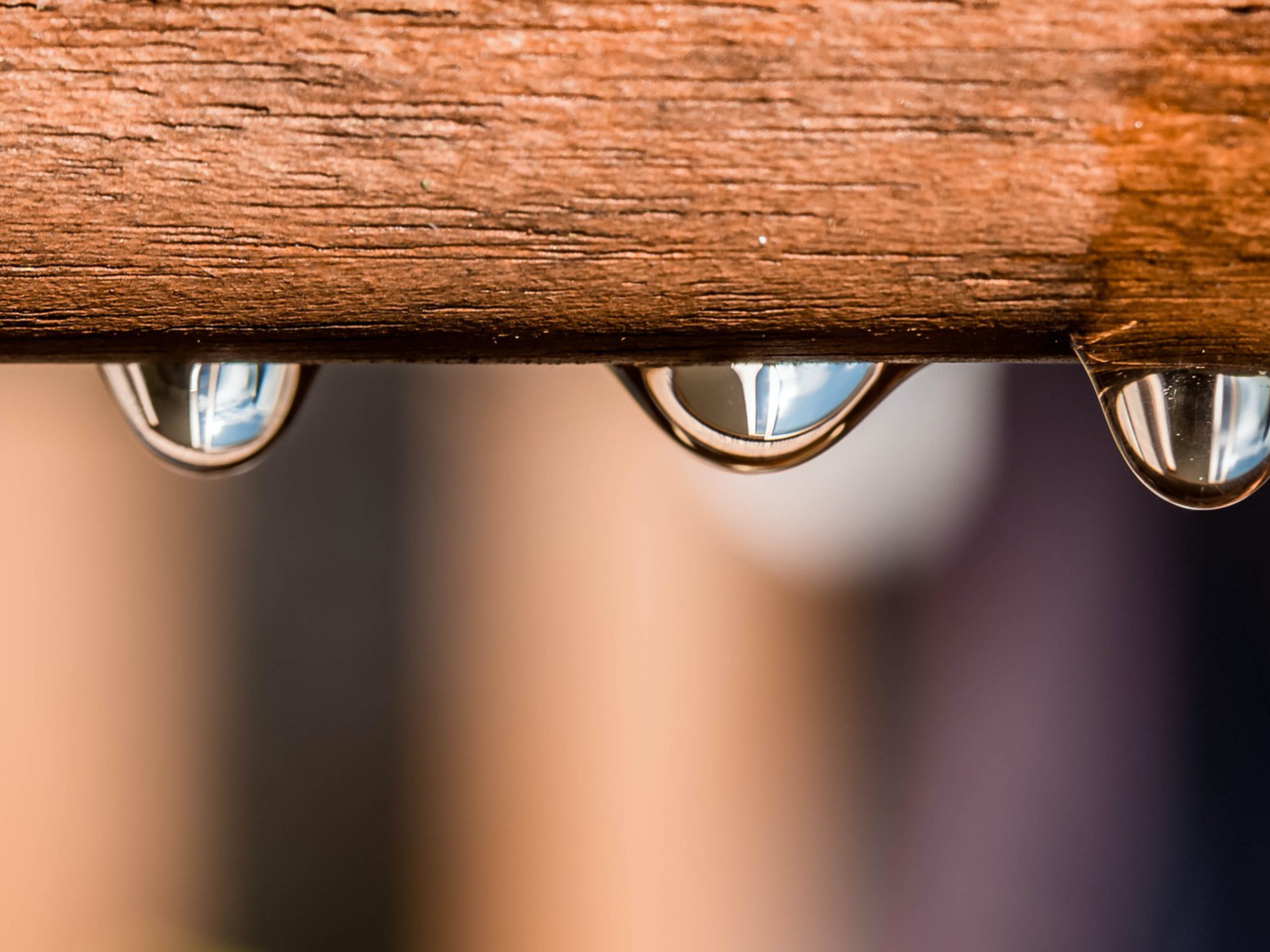Bespaar water en energie door het gebruik van Scrummi!